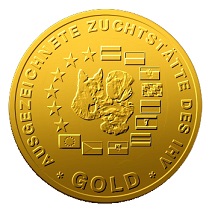 Bolonka Franzuska Welpen Züchter